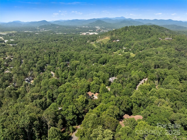 303 S Braeside Ct, Asheville, NC 28803 - drone / aerial view of a heavily wooded area
