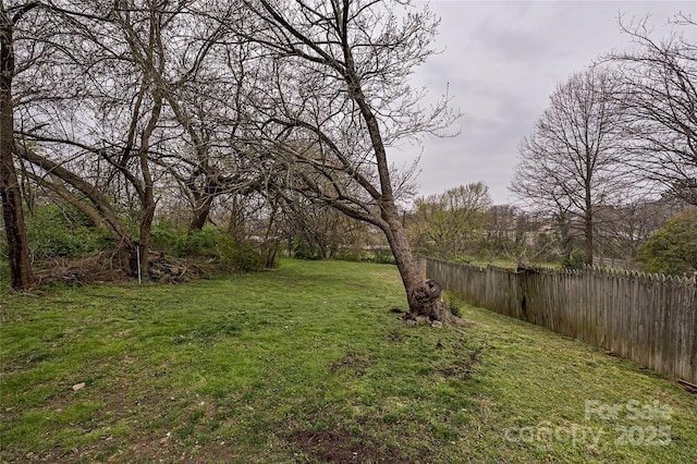 613 E Liberty St, Salisbury, NC 28144 - view of yard