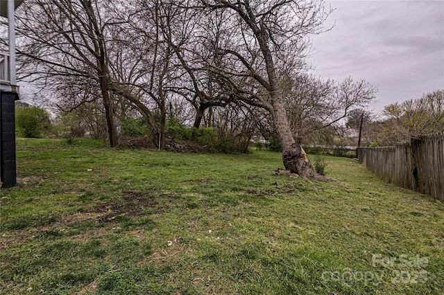 613 E Liberty St, Salisbury, NC 28144 - view of yard