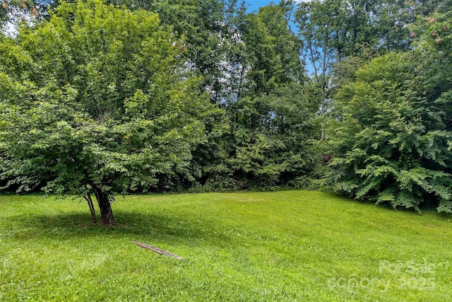 2526 Hankins Rd, Marion, NC 28752 - view of green lawn