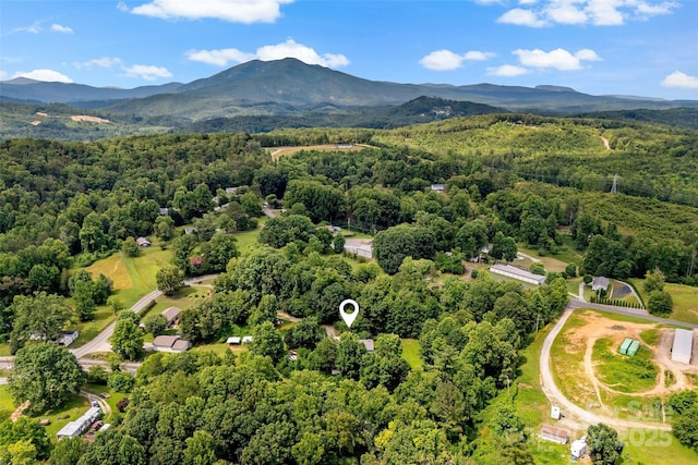 2526 Hankins Rd, Marion, NC 28752 - drone / aerial view of a forest and a mountainous background