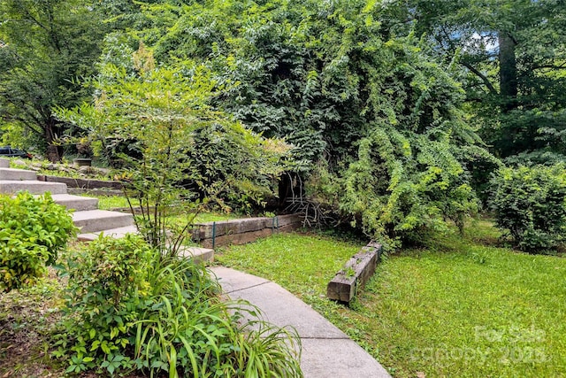 2526 Hankins Rd, Marion, NC 28752 - view of grassy yard