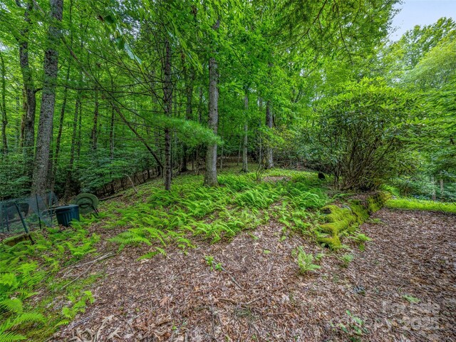 1026 Campbell Dr, Pisgah Forest, NC 28768 - photo 28