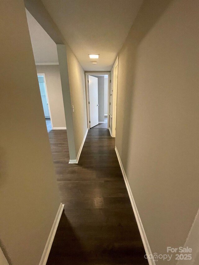 3200 Heathstead Pl Unit E, Charlotte, NC 28210 - corridor with dark wood-style flooring and baseboards