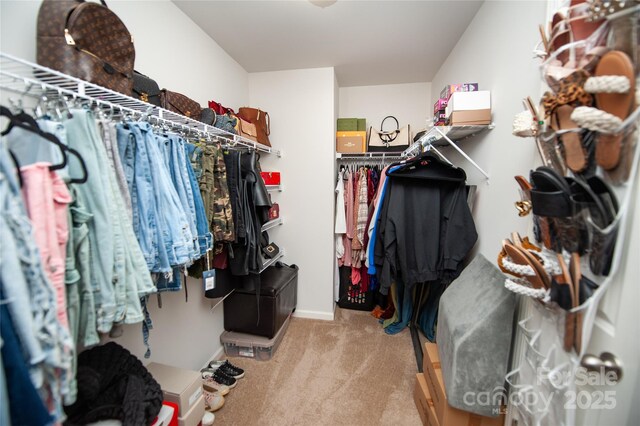 660 Highgarden Ln, Boiling Springs, SC 29316 - walk in closet with light colored carpet
