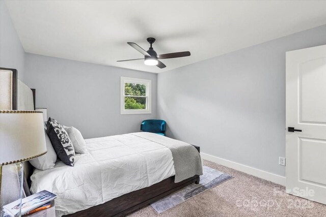 10514 Harbor Dr, Charlotte, NC 28214 - bedroom featuring carpet floors and a ceiling fan