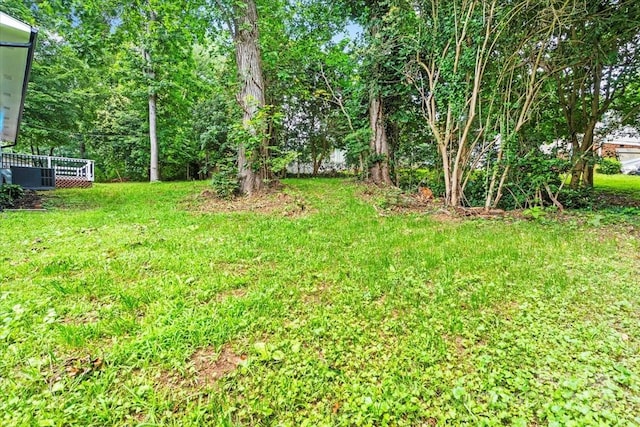 10514 Harbor Dr, Charlotte, NC 28214 - view of green lawn