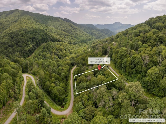 000 Puncheon Ln Unit 174, Mars Hill, NC 28754