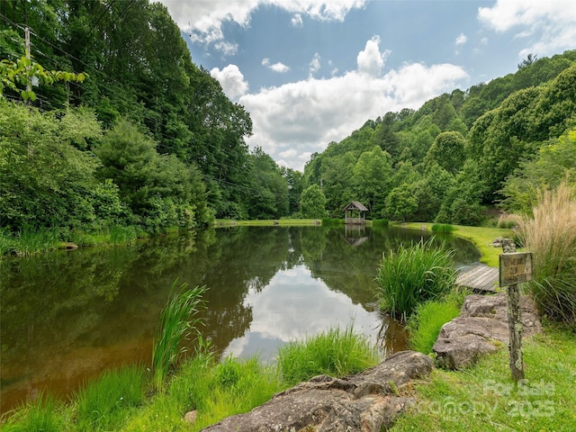 000 Puncheon Ln Unit 174, Mars Hill, NC 28754