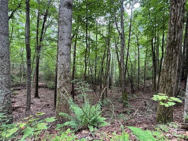 0 Quail Ridge Rd Unit 216, Lake Lure, NC 28746