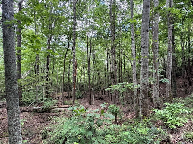 0 Quail Ridge Rd Unit 216, Lake Lure, NC 28746