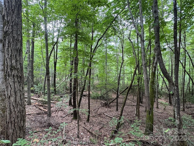 0 Quail Ridge Rd Unit 216, Lake Lure, NC 28746