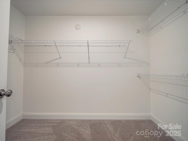 292 Manchester Rd, Mount Gilead, NC 27306 - photo 15