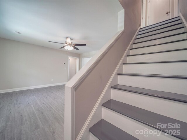 292 Manchester Rd, Mount Gilead, NC 27306 - photo 25