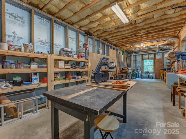 253 Sandy Ln, Brevard, NC 28712 - below grade area featuring a workshop area