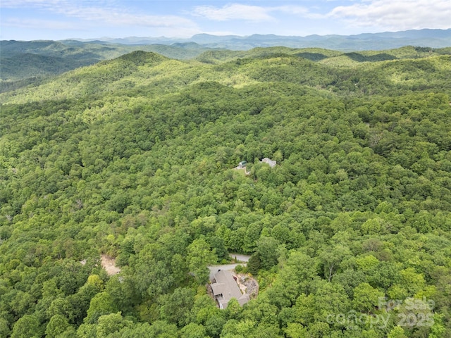 253 Sandy Ln, Brevard, NC 28712 - bird's eye view of a forest