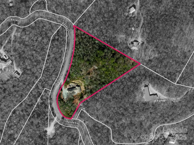 253 Sandy Ln, Brevard, NC 28712 - aerial overview of property's location with property boundaries highlighted