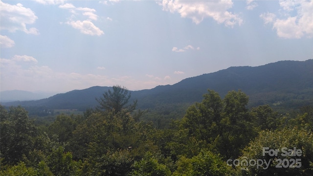 LOT17 Deer Ridge Trl, Marion, NC 28752