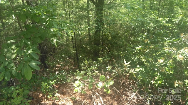 LOT17 Deer Ridge Trl, Marion, NC 28752