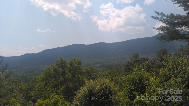 LOT17 Deer Ridge Trl, Marion, NC 28752
