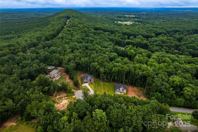 236 Mark Ryan Ln, Dallas, NC 28034 - photo 27