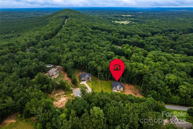 236 Mark Ryan Ln, Dallas, NC 28034 - photo 29