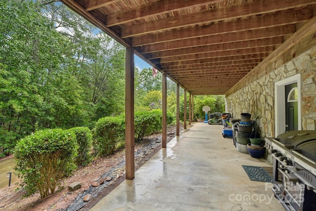 66 Ashlyn Ln, Tryon, NC 28782 - view of patio