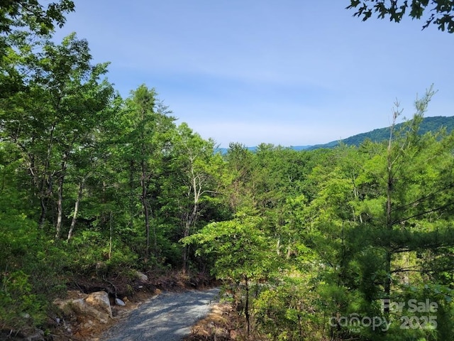 LOT12/13B Quail Dr, Marion, NC 28752 - photo 4