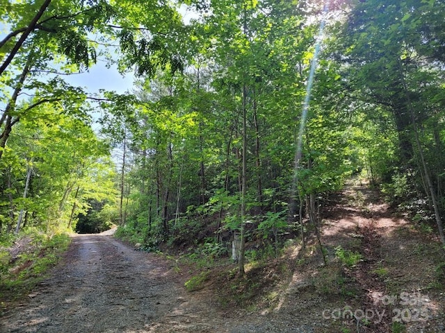 LOT12/13B Quail Dr, Marion, NC 28752 - photo 8