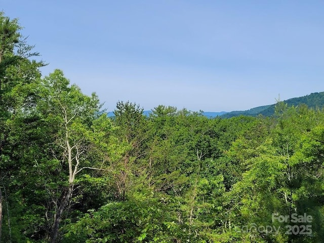 LOT12/13B Quail Dr, Marion, NC 28752 - photo 9