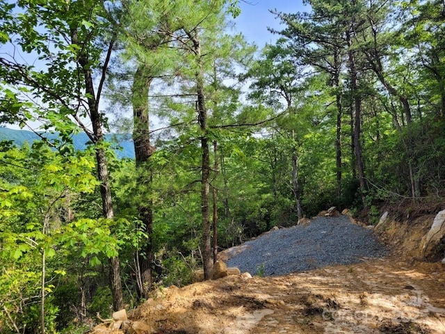 LOT12/13B Quail Dr, Marion, NC 28752 - photo 10