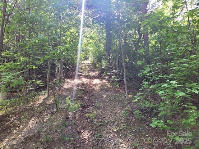 LOT12/13B Quail Dr, Marion, NC 28752 - photo 11
