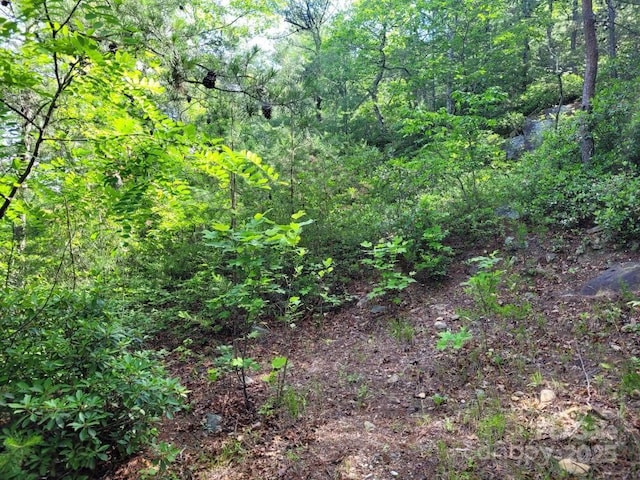 LOT12/13B Quail Dr, Marion, NC 28752 - photo 12