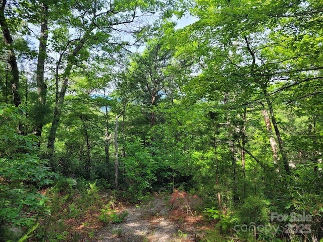 LOT12/13B Quail Dr, Marion, NC 28752 - photo 13