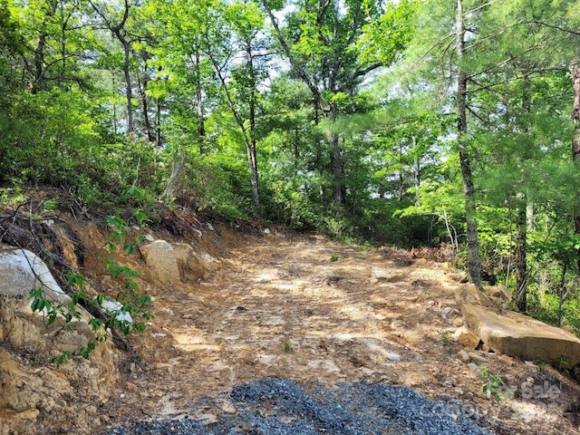 LOT12/13B Quail Dr, Marion, NC 28752 - photo 14