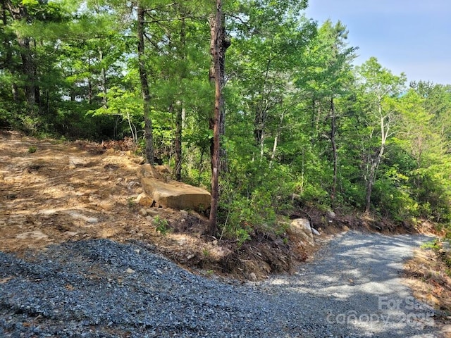 LOT12/13B Quail Dr, Marion, NC 28752 - photo 15