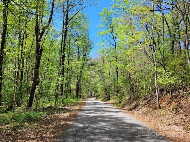 LOT12/13B Quail Dr, Marion, NC 28752 - photo 16