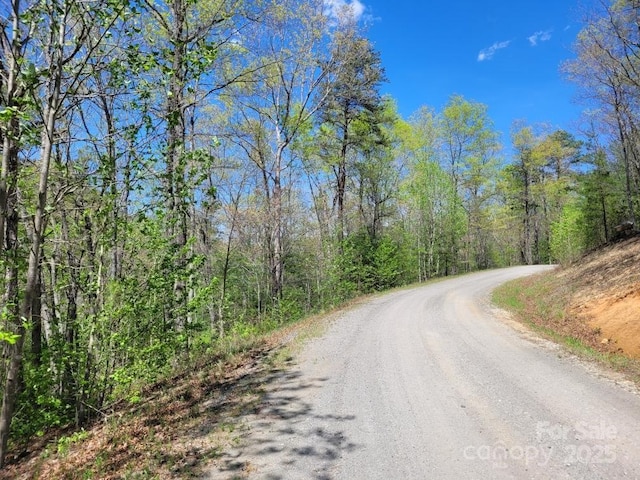 LOT12/13B Quail Dr, Marion, NC 28752 - photo 19