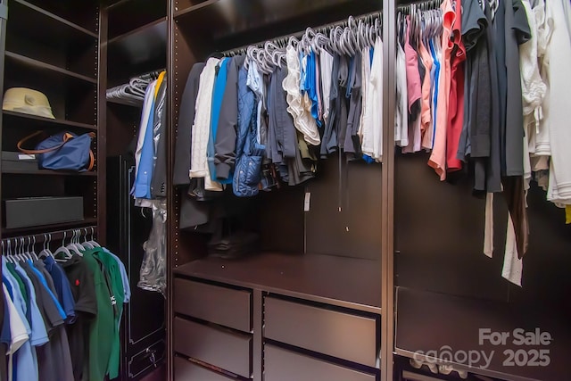 10418 Pullengreen Dr, Charlotte, NC 28277 - view of walk in closet