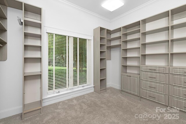 7912 Baltusrol Ln, Charlotte, NC 28210 - spacious closet with carpet flooring