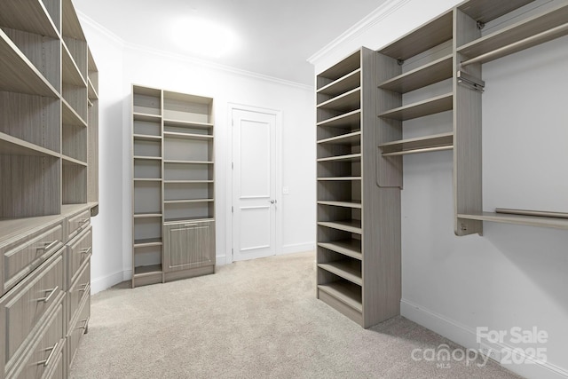 7912 Baltusrol Ln, Charlotte, NC 28210 - spacious closet with light carpet