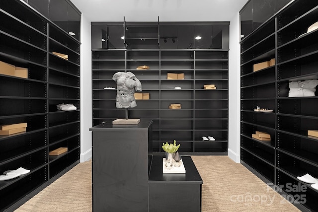 7912 Baltusrol Ln, Charlotte, NC 28210 - spacious closet with carpet floors