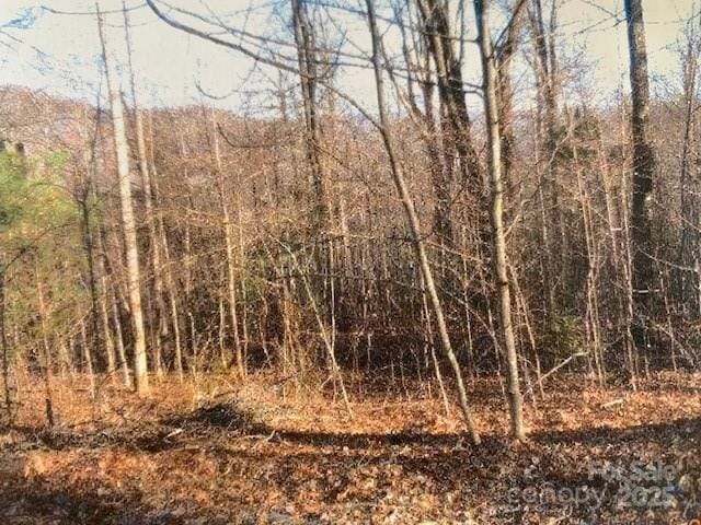 LOT92 Mountain Summit Rd Unit 92, Zirconia, NC 28790 - photo 2