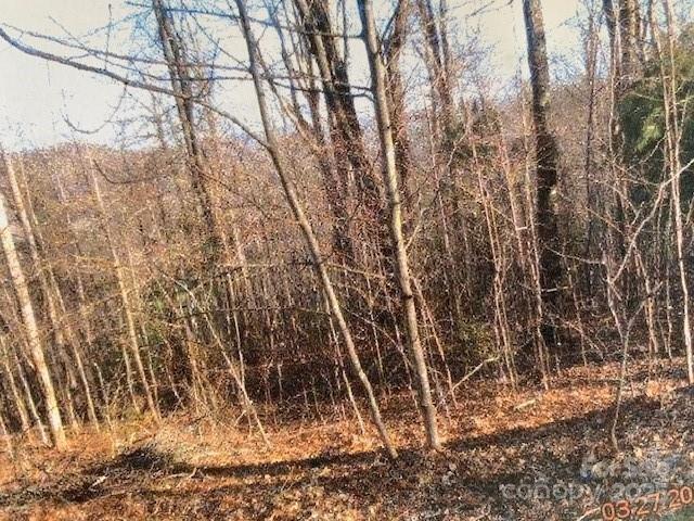 LOT92 Mountain Summit Rd Unit 92, Zirconia, NC 28790 - photo 4
