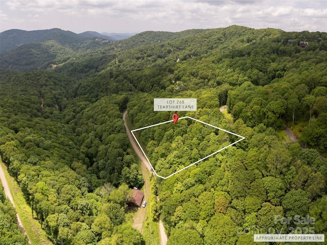 000 Tearshirt Ln Unit 268, Mars Hill, NC 28754