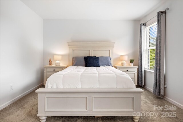 5069 Thomasville Dr, Belmont, NC 28012 - bedroom with light carpet