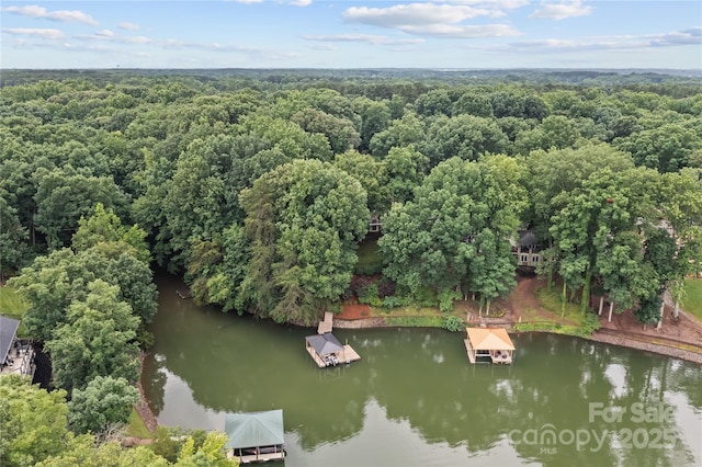 138 Ardmore Pl, Mooresville, NC 28117 - photo 48