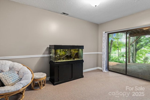 138 Ardmore Pl, Mooresville, NC 28117 - photo 29