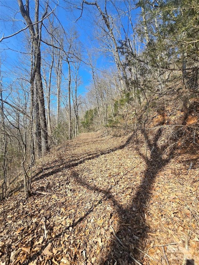 30 Black Mountain Rd, Cullowhee, NC 28723