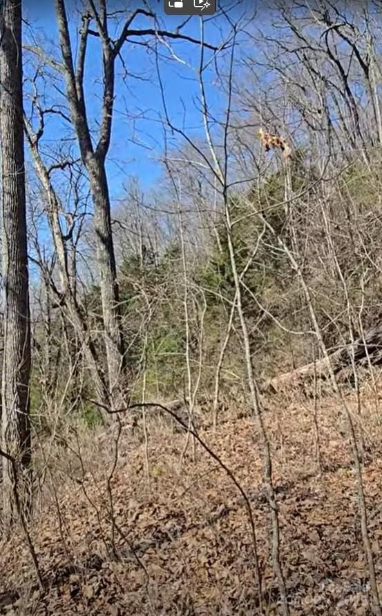 30 Black Mountain Rd, Cullowhee, NC 28723